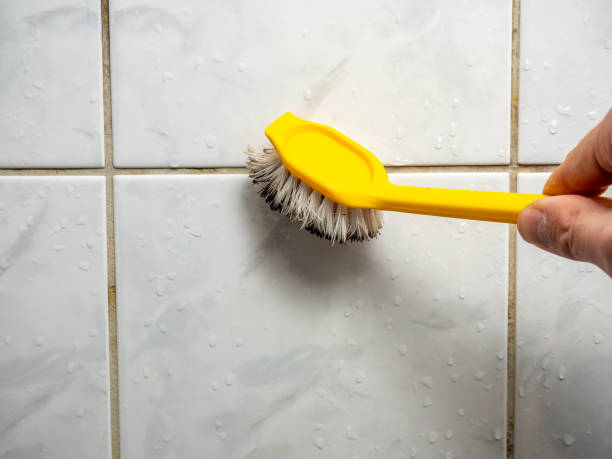 Best Post-Flood Mold Remediation in Archbold, OH