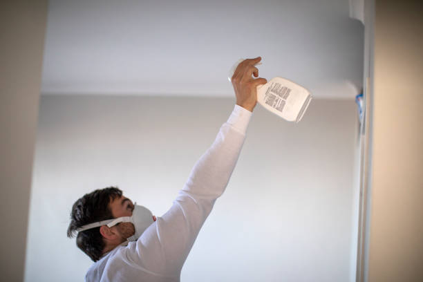 Best Residential Mold Remediation in Archbold, OH