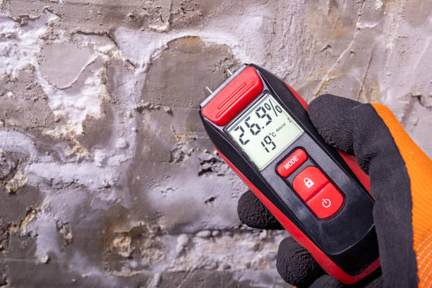 Best DIY Mold Remediation Support Services in Archbold, OH