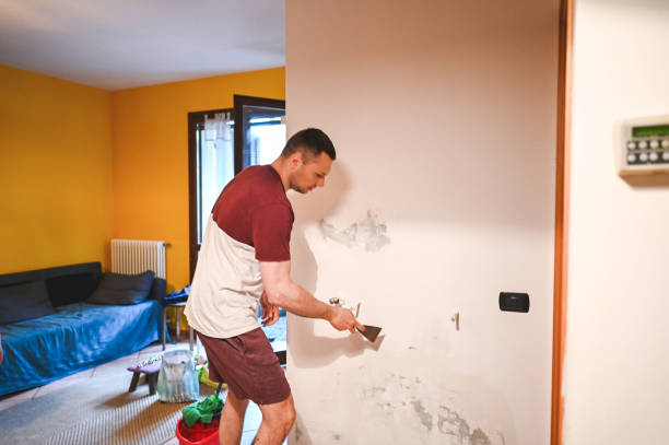 Best Post-Flood Mold Remediation in Archbold, OH